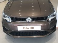 Volkswagen Polo 2020 - Cần bán Volkswagen đời 2020, màu nâu, xe nhập, giá 695tr giá 695 triệu tại An Giang