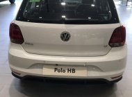 Volkswagen Polo 2020 - Cần bán xe Volkswagen Polo đời 2020, màu trắng, nhập khẩu giá 695 triệu tại Cần Thơ