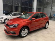 Volkswagen Polo 2020 - Giá xe Volkswagen Polo mới nhất giá 695 triệu tại An Giang