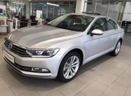 Volkswagen Passat 2019 - Volkswagen Passat đời 2019, màu bạc, xe nhập giá 1 tỷ 480 tr tại Kiên Giang