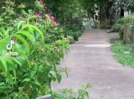 Audi TT 2021 - Cần bán Audi TT sản xuất 2021 giá 500 triệu tại Hà Nội