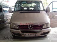 Mercedes-Benz Sprinter 2009 - Bán Mercedes Sprinter năm sản xuất 2009, màu phấn hồng giá 185 triệu tại Hậu Giang