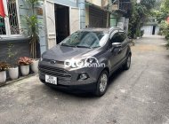 Ford EcoSport   Titanium  2014 - Cần bán lại xe Ford EcoSport Titanium đời 2014, màu xám chính chủ, giá 405tr giá 405 triệu tại Hà Nội