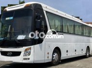 Hyundai Universe 2017 - Bán Hyundai Universe sản xuất năm 2017, màu trắng giá 1 tỷ 400 tr tại Tp.HCM