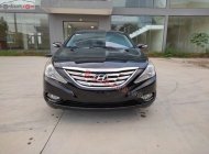 Hyundai Sonata   2.0 AT  2010 - Bán xe Hyundai Sonata 2.0 AT năm sản xuất 2010, màu đen, nhập khẩu giá 410 triệu tại Vĩnh Phúc