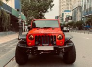 Jeep Wrangler 2009 - Cần bán xe Jeep full Offroad giá 1 tỷ 950 tr tại Tp.HCM