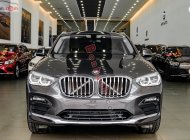 BMW X4   X-Line 2019 - Bán BMW X4 X-Line 2019, màu xám, nhập khẩu giá 2 tỷ 439 tr tại Hà Nội