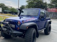 Jeep Wrangler 2009 - Bán Jeep Wrangler đời 2009, màu xanh lam, nhập khẩu giá 1 tỷ 350 tr tại Tp.HCM