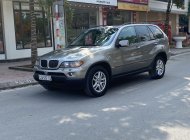 BMW X5 AT 2004 - Cần bán BMW X5 AT đăng ký lần đầu 2004 nhập khẩu nguyên chiếc giá tốt 216tr giá 216 triệu tại Hải Dương