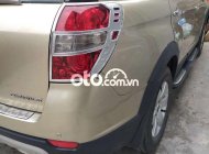 Chevrolet Captiva  AT  2007 - Bán Chevrolet Captiva AT sản xuất năm 2007, màu vàng còn mới giá 220 triệu tại Bắc Giang