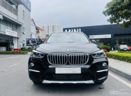 BMW X1 2019 - Cần bán xe BMW X1 sDrive 18i năm 2019 giá 1 tỷ 259 tr tại Hà Nội