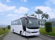 Daewoo Bus 0 2021 - Bán xe khách 34 chỗ ngồi Daewoo Model G8 Global Star giá 1 tỷ 750 tr tại Hà Nội