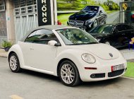 Volkswagen Beetle 2005 - Bán Volkswagen Beetle 2.5L sản xuất 2005, màu trắng, xe nhập số tự động giá 468 triệu tại Tp.HCM