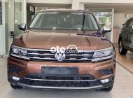 Volkswagen Tiguan 2017 - Màu nâu, xe nhập giá 1 tỷ 199 tr tại Tp.HCM
