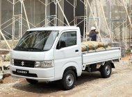 Suzuki Super Carry Pro 2021 - Màu trắng, nhập khẩu nguyên chiếc giá 304 triệu tại Tp.HCM