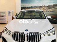 BMW X1 2022 - Màu trắng, nhập khẩu nguyên chiếc giá 1 tỷ 829 tr tại Tp.HCM