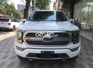 Ford F 150 2022 - Màu trắng, xe nhập giá 5 tỷ 860 tr tại Hà Nội