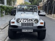 Jeep Wrangler 1990 - Màu trắng, giá cực tốt giá 800 triệu tại Tp.HCM