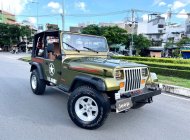 Jeep Wrangler 1996 - Nhập Mỹ, số sàn 2 cầu hàng hiếm. Xe giấy tờ zin, có máy lạnh, bao không hao xăng, chạy 100km/10 lít giá 590 triệu tại Tp.HCM