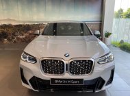 BMW X4 2022 - Xe hot có sẵn giao ngay quà tặng hấp dẫn giá 3 tỷ 499 tr tại Bình Dương