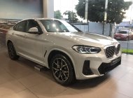 BMW X4 2022 - Đủ màu, giao xe ngay giá 3 tỷ 499 tr tại Bình Dương