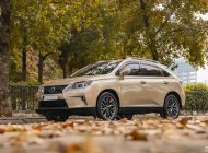 Lexus RX 300 2009 - Xe màu vàng cát, xe nhập giá 1 tỷ 150 tr tại Hà Nội