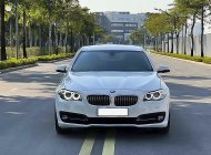BMW 520i  M Sport 2017 - Bán ô tô BMW 520i M Sport năm 2017, màu trắng, nhập khẩu giá 1 tỷ 250 tr tại Hà Nội