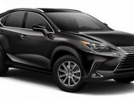 Lexus NX 300    2021 - Bán Lexus NX 300 sản xuất 2021, màu đen, nhập khẩu nguyên chiếc   giá 2 tỷ 550 tr tại Tp.HCM