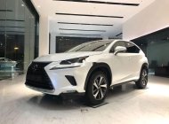 Lexus NX 300 2021 - Bán ô tô Lexus NX 300 năm sản xuất 2021, màu trắng giá 2 tỷ 560 tr tại Hà Nội