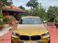 BMW X2 2019 - Xe màu nâu giá 1 tỷ 499 tr tại Hà Nội