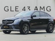 Mercedes-Benz GLE 43 2017 - Màu đen, xe nhập số tự động giá 2 tỷ 999 tr tại Tp.HCM