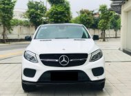 Mercedes-Benz GLE 43 2018 - Xe rất hiếm giá 3 tỷ 480 tr tại Hà Nội