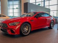 Mercedes-Benz GT53 2022 - Màu đỏ, nhập khẩu nguyên chiếc giá 6 tỷ 719 tr tại Tp.HCM