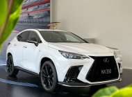 Lexus NX 350 2022 - Bảo dưỡng/bảo hành miễn phí trong 3 năm - Chính hãng showroom, xe giao ngay giá 3 tỷ 10 tr tại Hà Nội