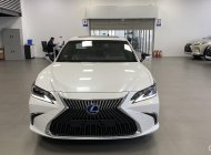 Lexus ES 300 2022 - Bảo hành/bảo dưỡng miễn phí trong 5 năm - Bảo hành pin trong 7 năm giá 3 tỷ 140 tr tại Tp.HCM