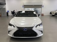 Lexus ES 300 2022 - Sẵn xe giao ngay, bảo hành, bảo dưỡng xe miễn phí trong 3 năm giá 3 tỷ 100 tr tại Hà Nội