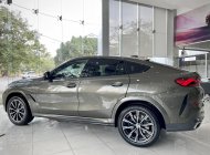 BMW X6 2022 - Giao xe tận nhà, tận tình, chu đáo giá 5 tỷ 199 tr tại Nghệ An
