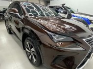 Lexus NX 300 2019 - Lexus 2019 số tự động tại 66 giá 2 tỷ 250 tr tại Bình Dương