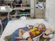 Mercedes-Benz 2028 - Mercedes-Benz SLS 2028 tại Thừa Thiên Huế giá 180 triệu tại TT - Huế