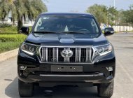 Toyota Land Cruiser Prado 2020 - Xe màu đen, xe nhập giá 2 tỷ 680 tr tại Hà Nội