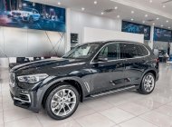 BMW X5 2022 - Giá 4 tỷ 019 triệu - Sẵn giao ngay giá 4 tỷ 19 tr tại Hải Phòng