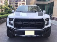 Ford F 150 2019 - Siêu bán tải siêu lướt giá 4 tỷ 150 tr tại Quảng Ninh