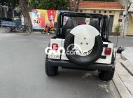 Jeep Wrangler   sản xuất 1990 Hàng Hiếm 1990 - Jeep Wrangler sản xuất 1990 Hàng Hiếm giá 800 triệu tại Tp.HCM