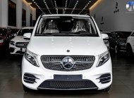 Mercedes-Benz V250 2022 - Xe nhập khẩu 7 chỗ giá 3 tỷ 500 tr tại Hà Nội