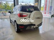 Ford EcoSport Cần bán   1.5AT Titanium 2019 2019 - Cần bán Ford ECOSPORT 1.5AT Titanium 2019 giá 526 triệu tại Đồng Nai