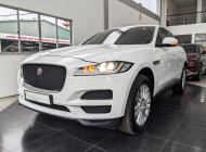 Jaguar F-Pace 2016 - Cần bán lại xe sang nhập khẩu giá 1 tỷ 880 tr tại Tp.HCM