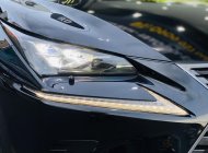Lexus NX 300 2017 - Model 2018, nhập khẩu giá 1 tỷ 950 tr tại Tp.HCM