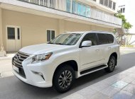 Lexus GX 460 2014 - Xe sang giá rẻ giá 2 tỷ 500 tr tại Tp.HCM