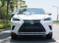 Lexus NX 300 2017 - Xe màu trắng giá 1 tỷ 980 tr tại Hà Nội