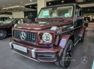 Mercedes-Benz G63 2023 - Xe có ngay, mới 100% giá 11 tỷ 750 tr tại Tp.HCM